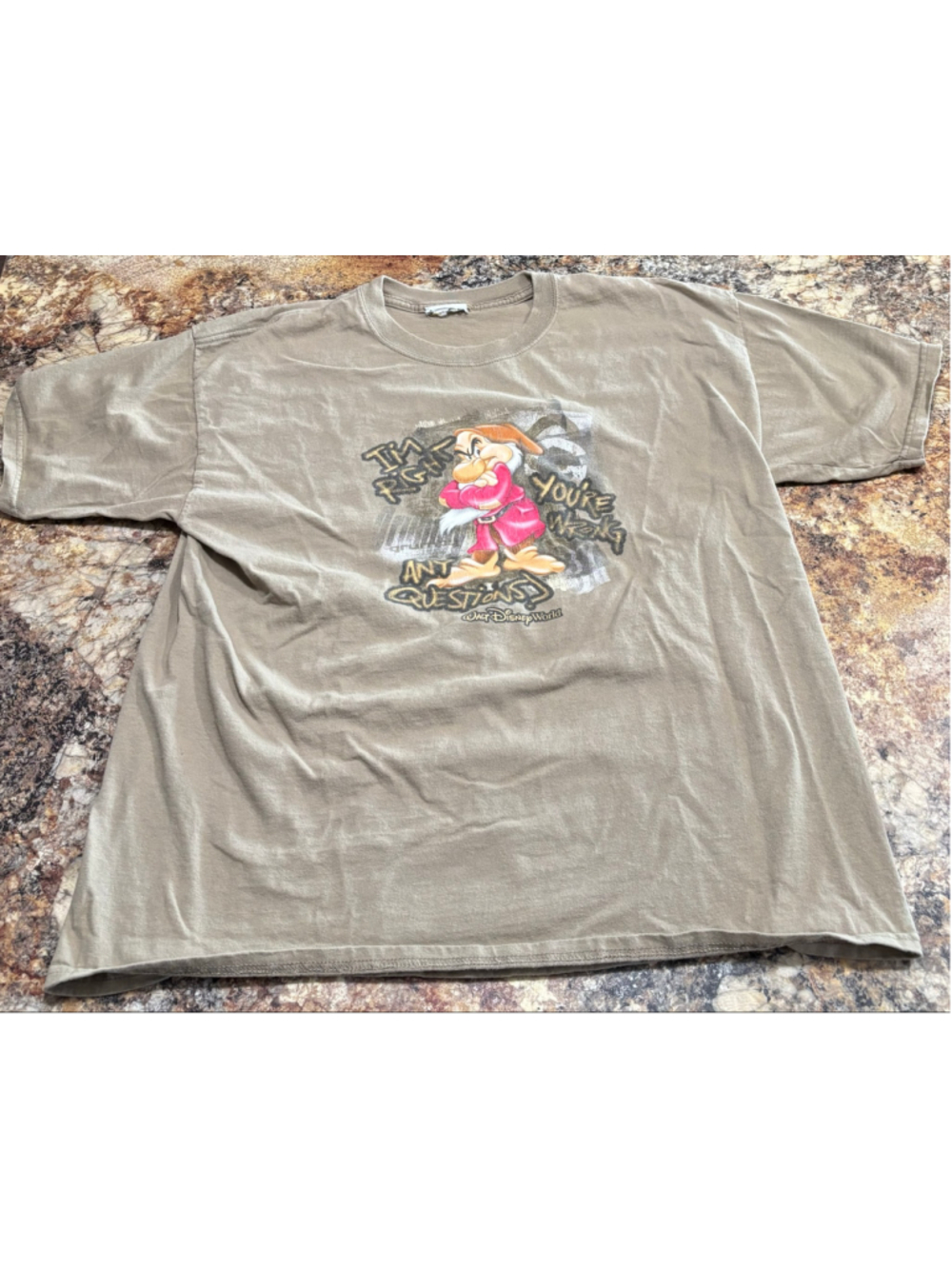 Walt Disney World Grumpy T Shirt